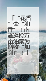 “花香”变“油香”！南漳巡检万亩油菜为增收“加油”！