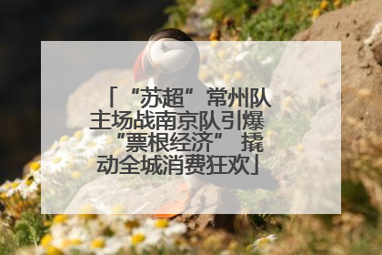 “苏超”常州队主场战南京队引爆“票根经济” 撬动全城消费狂欢