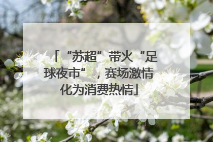 “苏超”带火“足球夜市”，赛场激情化为消费热情