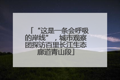“这是一条会呼吸的岸线”，城市观察团探访百里长江生态廊道青山段