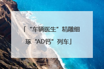 “车辆医生”精雕细琢“AD钙”列车