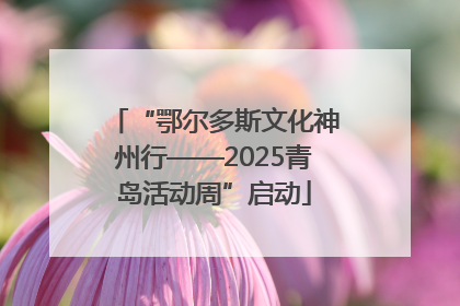 “鄂尔多斯文化神州行——2025青岛活动周”启动