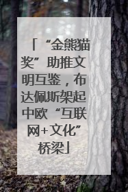 “金熊猫奖”助推文明互鉴，布达佩斯架起中欧“互联网+文化”桥梁