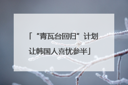 “青瓦台回归”计划让韩国人喜忧参半