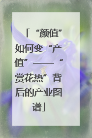 “颜值”如何变“产值”——“赏花热”背后的产业图谱