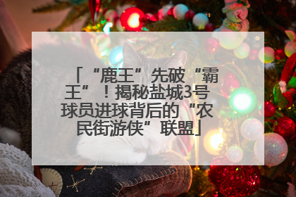 “鹿王”先破“霸王”！揭秘盐城3号球员进球背后的“农民街游侠”联盟