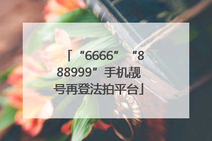 “6666”“888999”手机靓号再登法拍平台