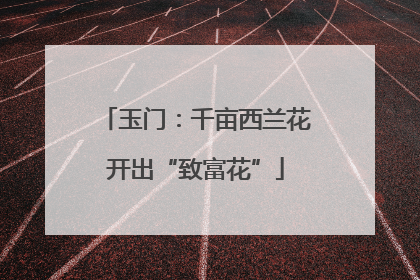 玉门：千亩西兰花开出“致富花”