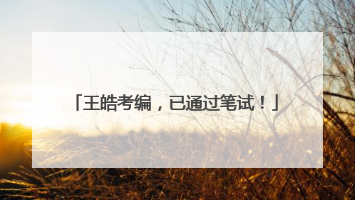 王皓考编，已通过笔试！