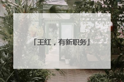 王红，有新职务