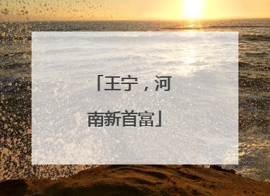 王宁，河南新首富