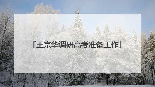 王宗华调研高考准备工作