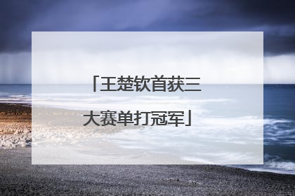 王楚钦首获三大赛单打冠军