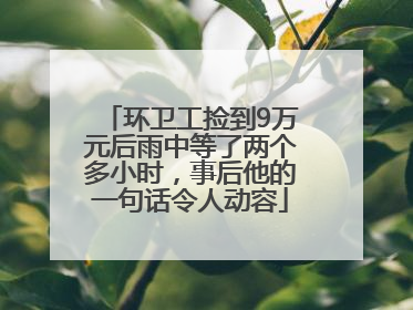 环卫工捡到9万元后雨中等了两个多小时，事后他的一句话令人动容