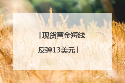现货黄金短线反弹13美元