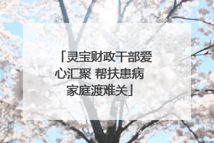 灵宝财政干部爱心汇聚 帮扶患病家庭渡难关
