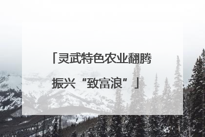 灵武特色农业翻腾振兴“致富浪”