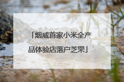 烟威首家小米全产品体验店落户芝罘