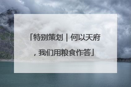 特别策划｜何以天府，我们用粮食作答
