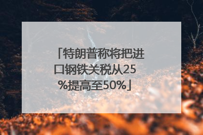 特朗普称将把进口钢铁关税从25%提高至50%