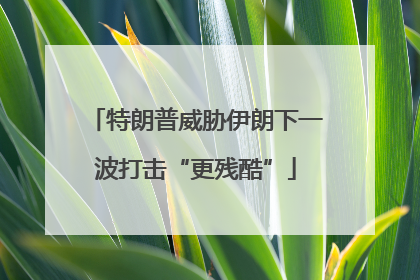 特朗普威胁伊朗下一波打击“更残酷”