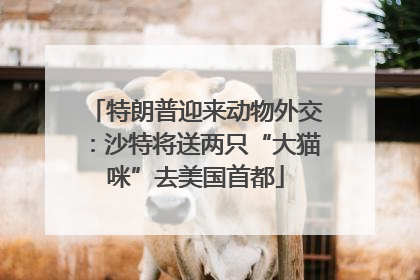特朗普迎来动物外交：沙特将送两只“大猫咪”去美国首都