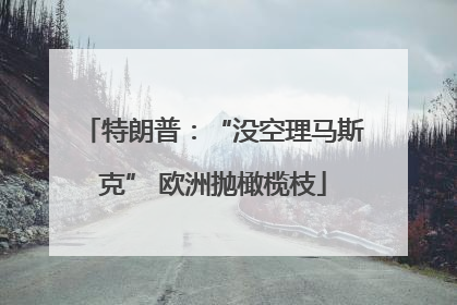 特朗普：“没空理马斯克” 欧洲抛橄榄枝