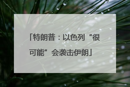 特朗普：以色列“很可能”会袭击伊朗