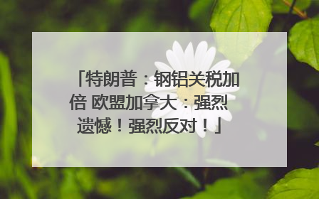 特朗普：钢铝关税加倍 欧盟加拿大：强烈遗憾！强烈反对！