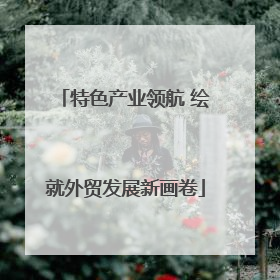 特色产业领航 绘就外贸发展新画卷