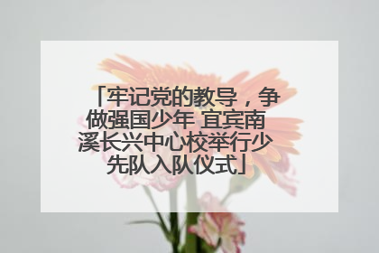 牢记党的教导，争做强国少年 宜宾南溪长兴中心校举行少先队入队仪式