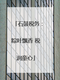 石鼓税务：粽叶飘香 税润童心