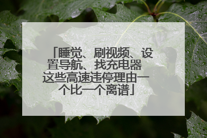 睡觉、刷视频、设置导航、找充电器 这些高速违停理由一个比一个离谱
