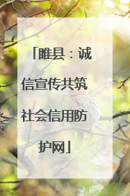睢县：诚信宣传共筑社会信用防护网