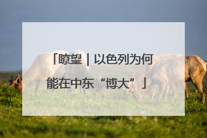 瞭望｜以色列为何能在中东“博大”