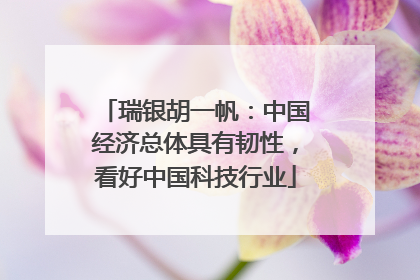 瑞银胡一帆：中国经济总体具有韧性，看好中国科技行业