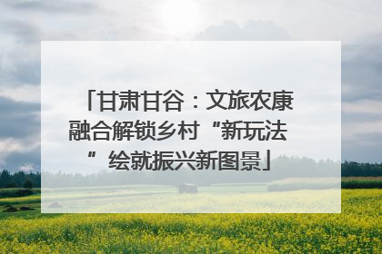甘肃甘谷：文旅农康融合解锁乡村“新玩法”绘就振兴新图景