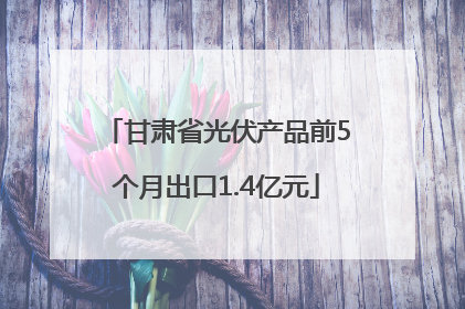甘肃省光伏产品前5个月出口1.4亿元