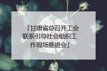 甘肃省总召开工会联系引导社会组织工作现场推进会
