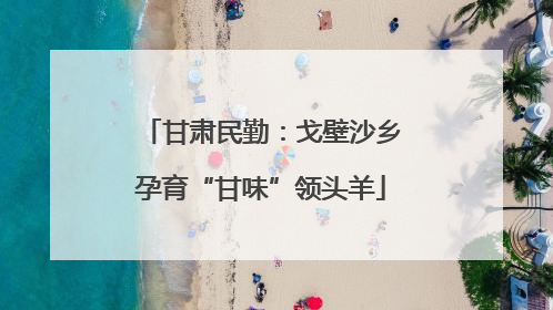 甘肃民勤：戈壁沙乡孕育“甘味”领头羊
