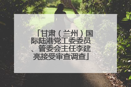 甘肃（兰州）国际陆港党工委委员、管委会主任李建亮接受审查调查
