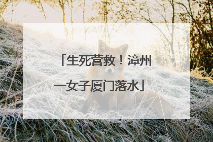 生死营救！漳州一女子厦门落水