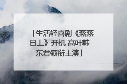 生活轻喜剧《蒸蒸日上》开机 高叶韩东君领衔主演