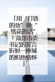 用“打铁的劲”做“绣花的活”！菏泽市委书记的发言折射一座城的炽热情怀