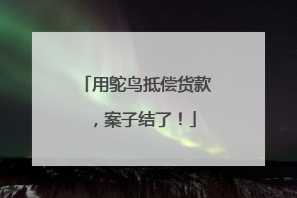 用鸵鸟抵偿货款，案子结了！