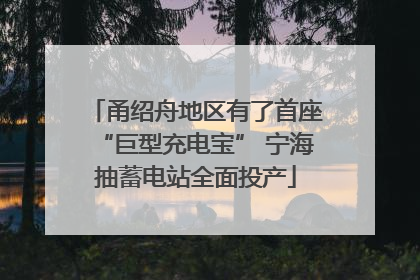 甬绍舟地区有了首座“巨型充电宝” 宁海抽蓄电站全面投产