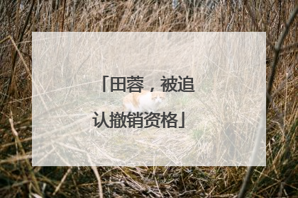 田蓉，被追认撤销资格