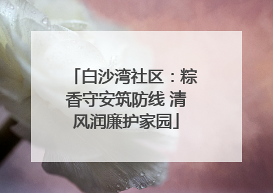白沙湾社区：粽香守安筑防线 清风润廉护家园