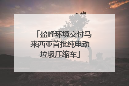 盈峰环境交付马来西亚首批纯电动垃圾压缩车