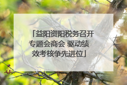 益阳资阳税务召开专题会商会 驱动绩效考核争先进位